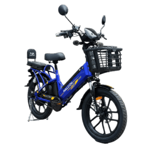 BICICLETA ELÉCTRICA 48V20AH